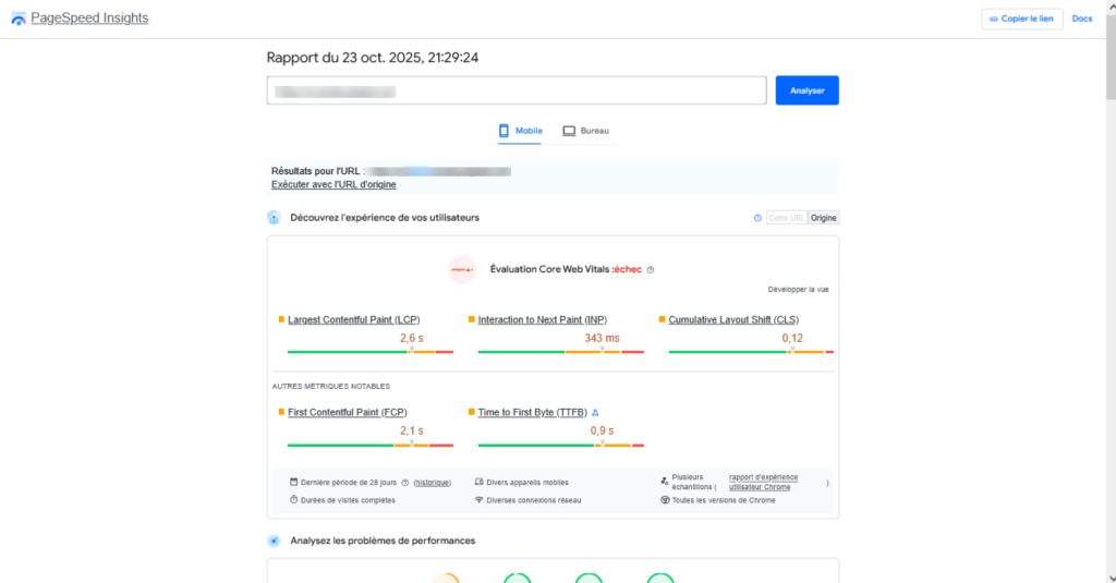SEO au Togo, page insights